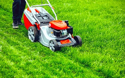 gardening-services-professional-hygienic-great-cleaning-services-in-coimbatore